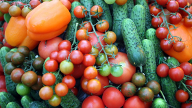Урожай тепличных овощей на Кубани вырос на две тысячи тонн